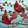 janejackson8688